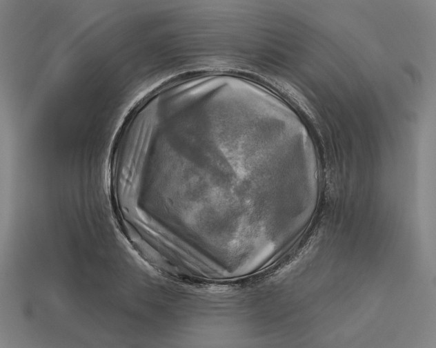 X0000113340839200910060956