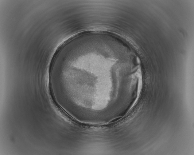 X0000113340840200910060956