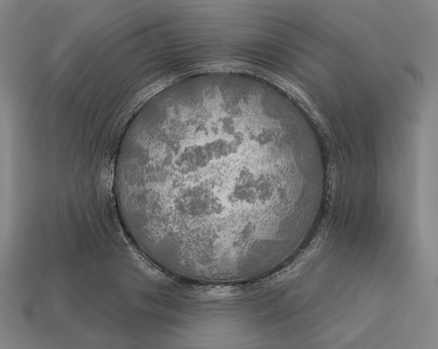 X0000113340841200910060956