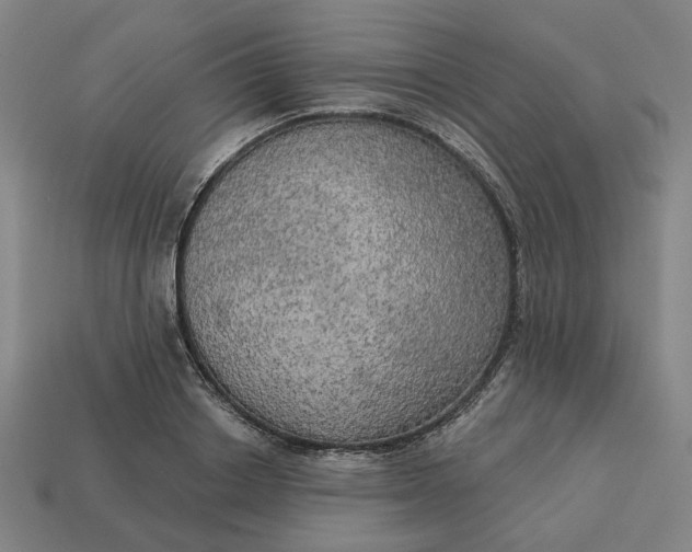 X0000113340842200910060956