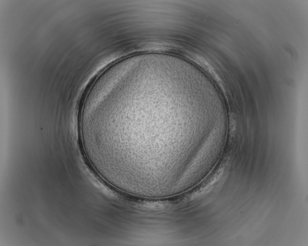 X0000113340843200910060956