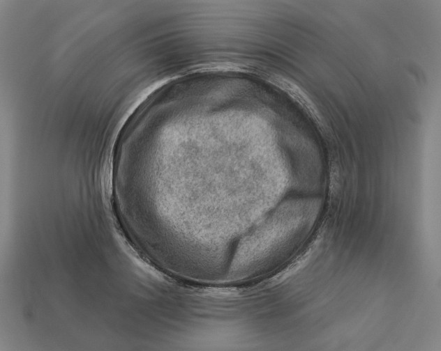 X0000113340844200910060956