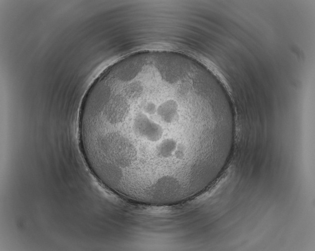 X0000113340845200910060956