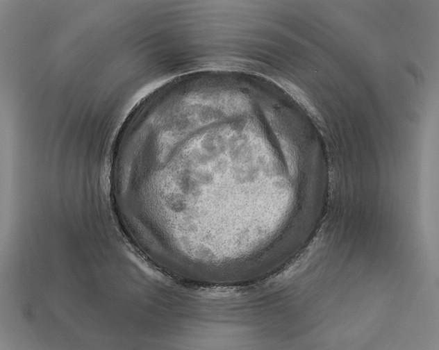 X0000113340846200910060956