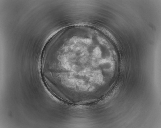 X0000113340847200910060956