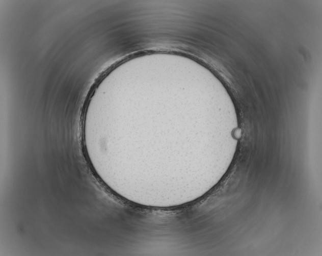 X0000113340848200910060956