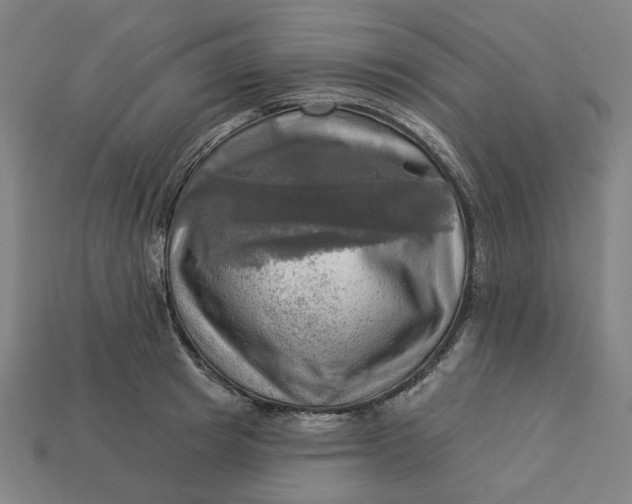 X0000113340849200910060956