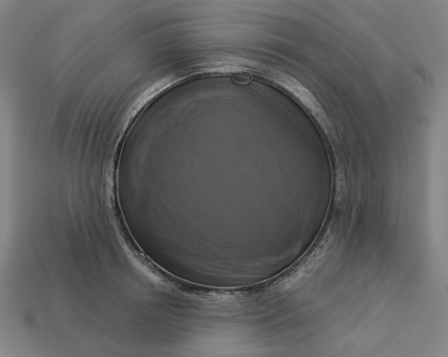 X0000113340850200910060956