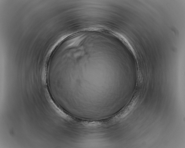 X0000113340851200910060956