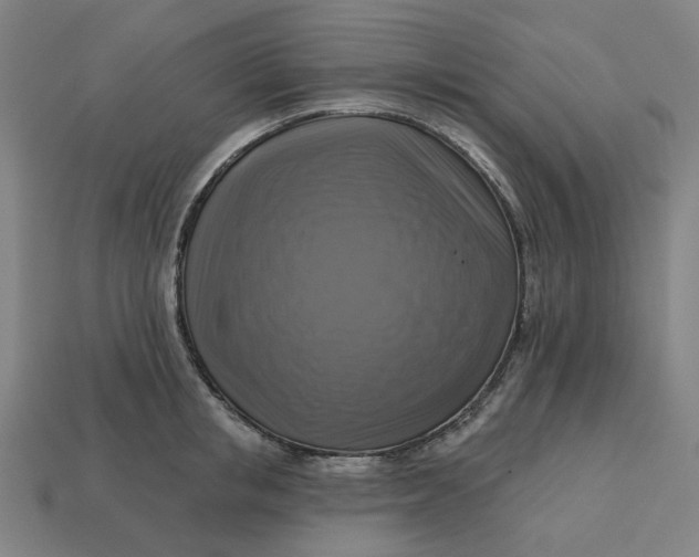 X0000113340853200910060956