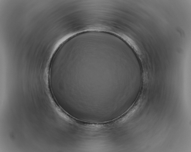 X0000113340854200910060956