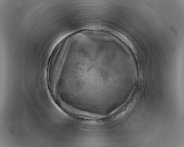 X0000113340855200910060956