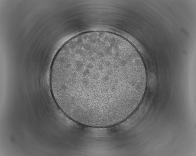 X0000113340856200910060956