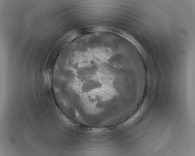 X0000113340857200910060956