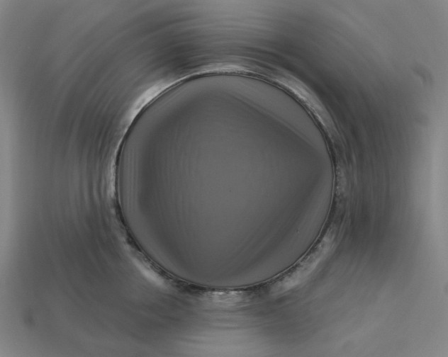 X0000113340858200910060956