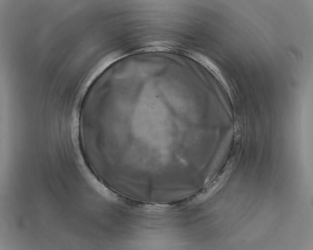 X0000113340859200910060956