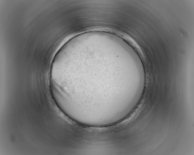 X0000113340860200910060956