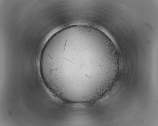 X0000113340861200910060956