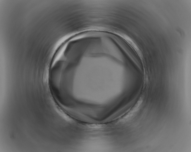 X0000113340862200910060956