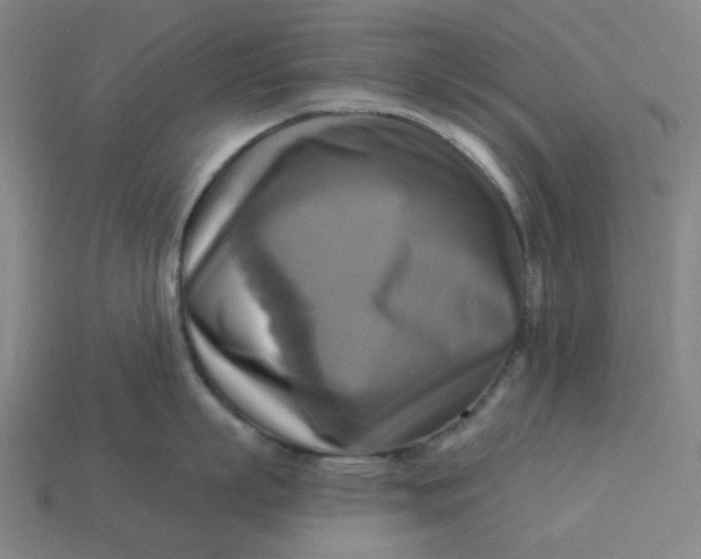 X0000113340863200910060956