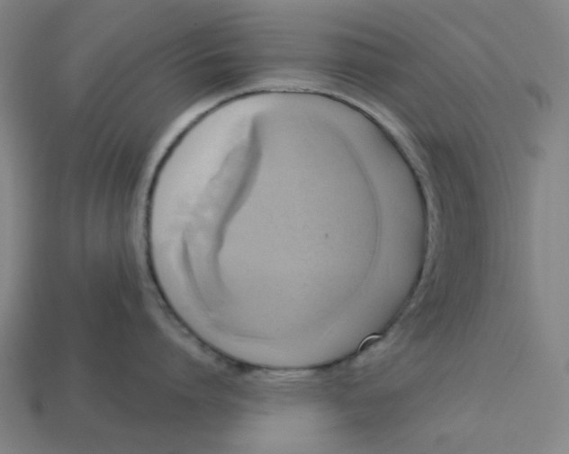 X0000113340864200910060956