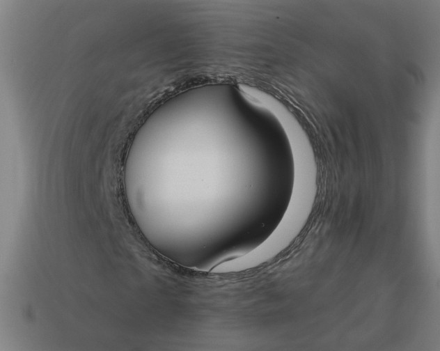 X0000113340865200910060956