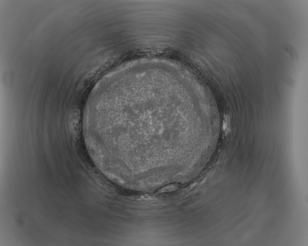 X0000113340867200910060956