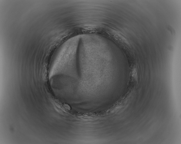 X0000113340868200910060956