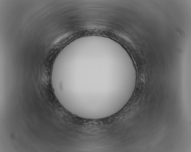 X0000113340869200910060956