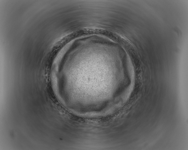 X0000113340870200910060956