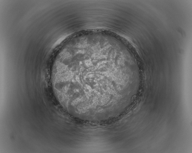 X0000113340871200910060956