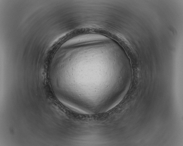 X0000113340872200910060956