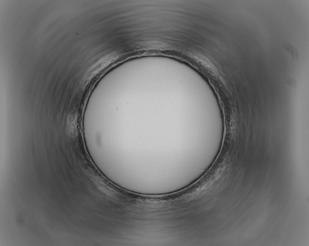 X0000113340873200910060956