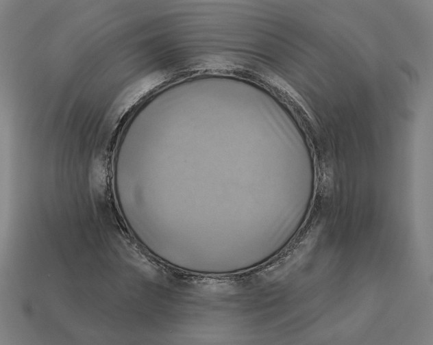 X0000113340874200910060956