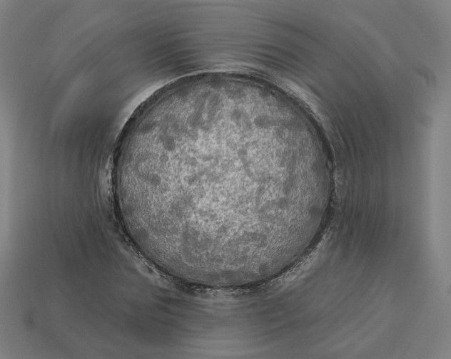 X0000113340875200910060956