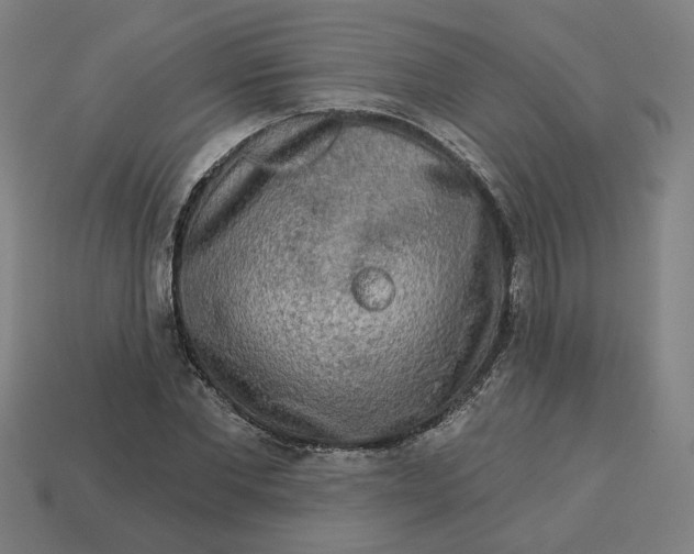 X0000113340877200910060955