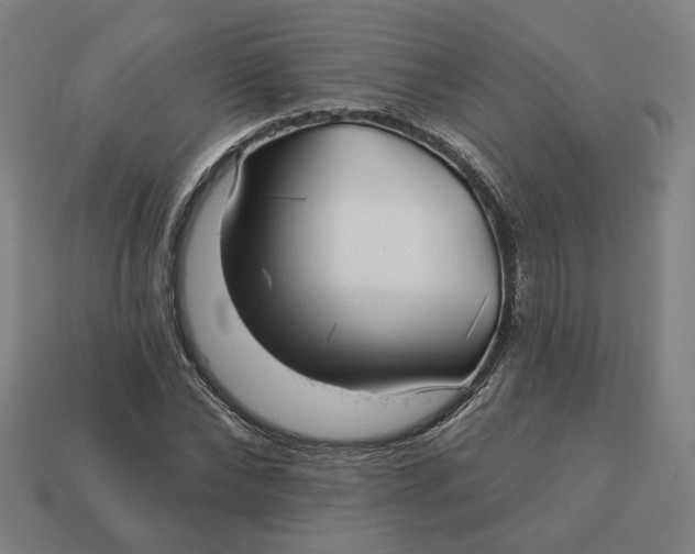 X0000113340878200910060955