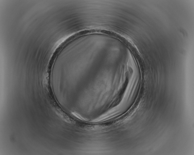 X0000113340879200910060955