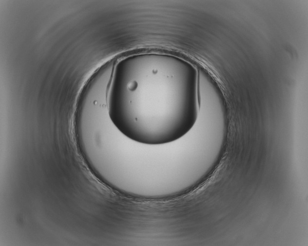 X0000113340880200910060955