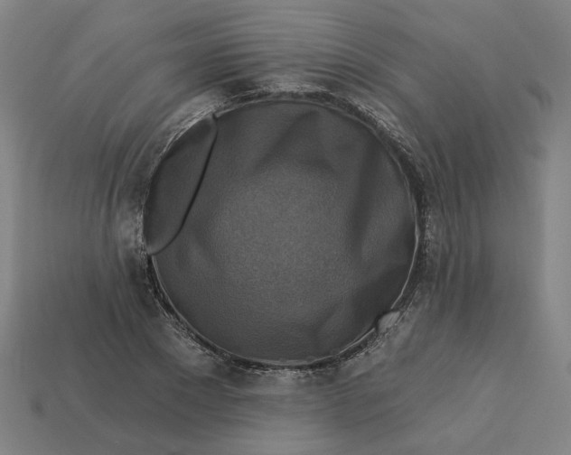 X0000113340881200910060955