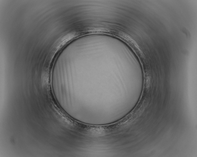 X0000113340882200910060955