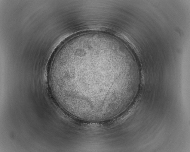 X0000113340883200910060955