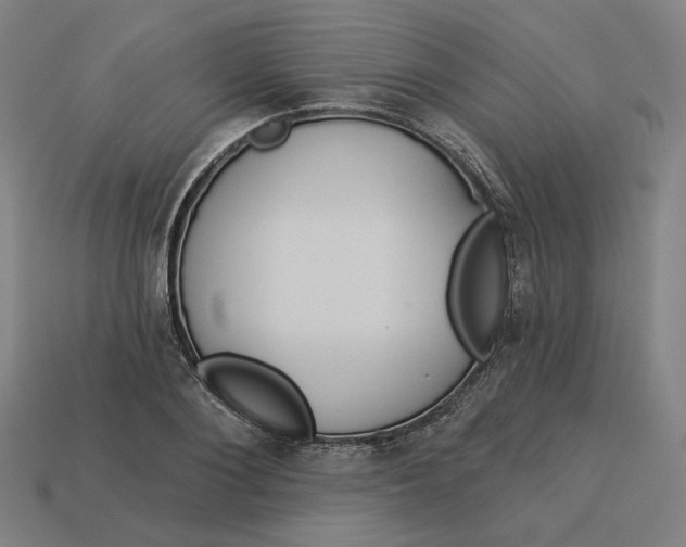 X0000113340884200910060955