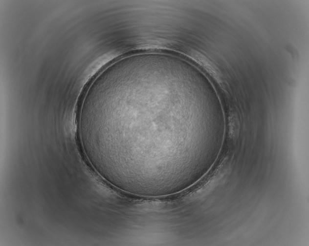 X0000113340885200910060955