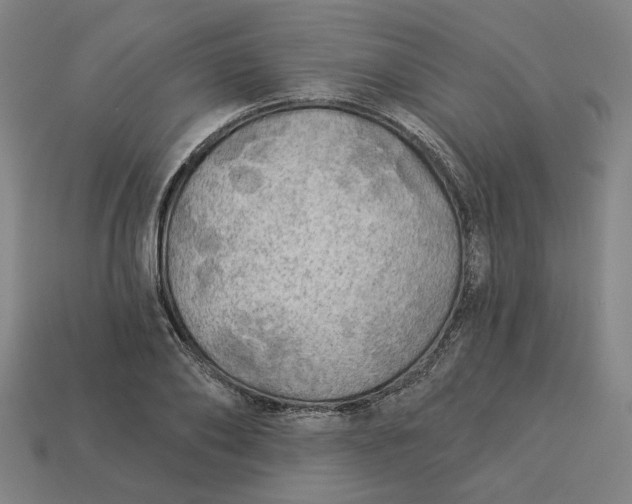 X0000113340886200910060955