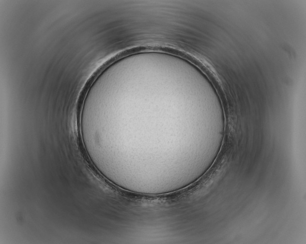 X0000113340887200910060955