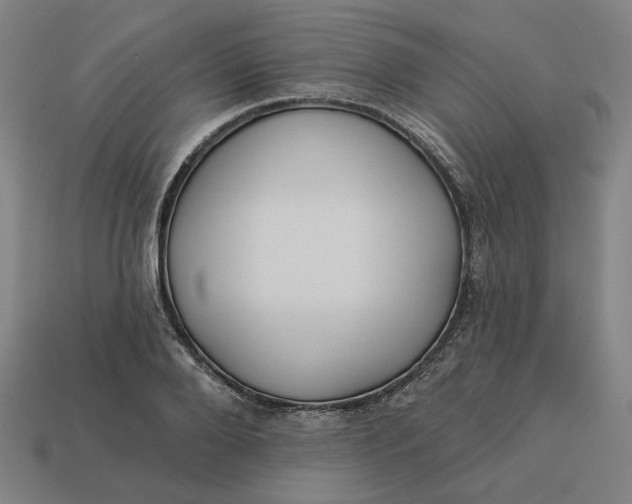 X0000113340888200910060955