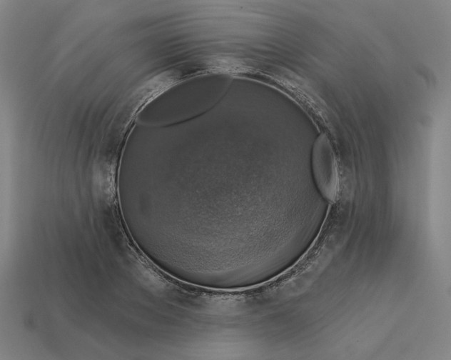 X0000113340889200910060955