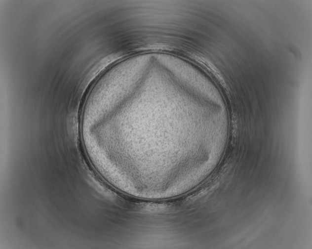 X0000113340890200910060955