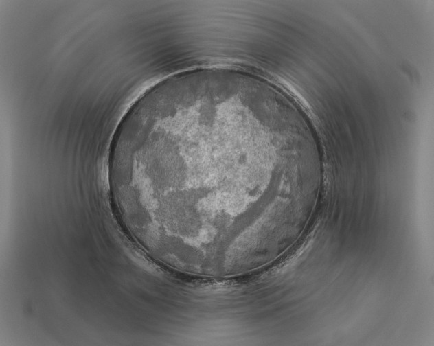 X0000113340891200910060955